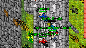 Galic Druid on screen