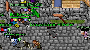 Dragontamer-Healer on screen