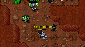 Kefelobo on screen