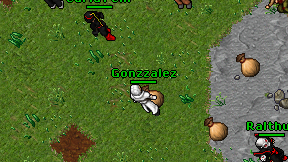 Gonzzalez on screen