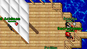Pazoja on screen