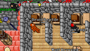 Druid Reptile on screen