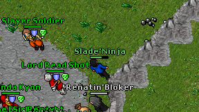 Slade'Ninja on screen
