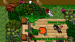 Que lindo pollito on screen