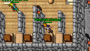 Maciekziomal on screen