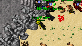Neo'Fairy on screen
