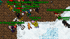 Net'rix on screen