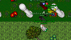 Antra Demoog on screen