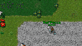 Val'Pucca on screen