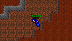 Wozna on screen