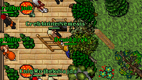 Druid bzyk on screen