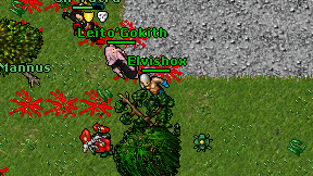 Elvishox on screen