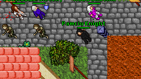 Pawciu Knight on screen