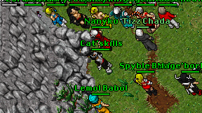 Cat'skills on screen