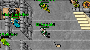 Elite pald on screen