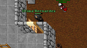 Otima'Bernardes on screen