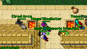 Mage'Gladiator on screen
