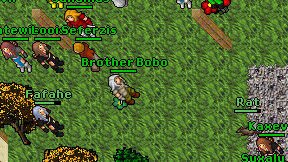 Brother Bobo on screen