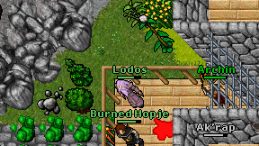 Lodos on screen