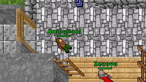 Amibullgal on screen