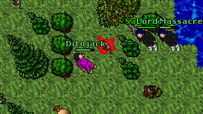Ditojack on screen