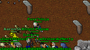 Pssy'Ninja on screen