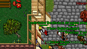 Pedrinho Beolvi on screen