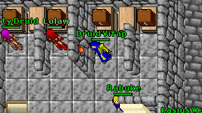Druid Vifap on screen