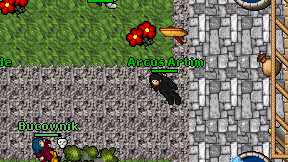 Arcus Artim on screen