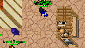 Gandhallf on screen