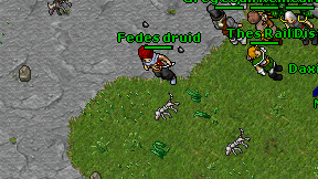Fedes druid on screen