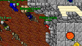 Pldin vela on screen