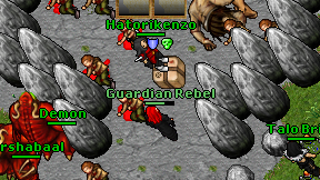 Guardian Rebel on screen