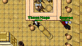 Thoon Mage on screen