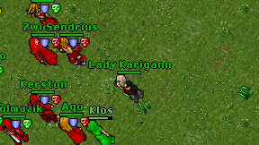 Lady Karigann on screen