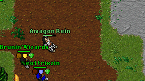 Amagon Rein on screen