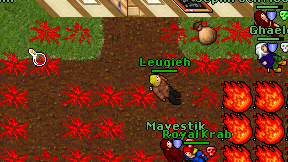 Leugieh on screen