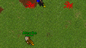 Alex Re on screen