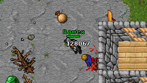 Rawex on screen