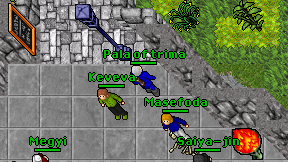 Pala of trima on screen