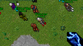 Flocer on screen