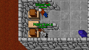 Maly kaca on screen