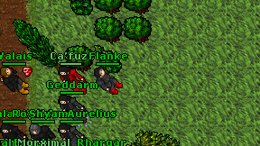 Flanke on screen
