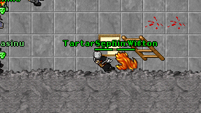 Tartaruga Incolor on screen