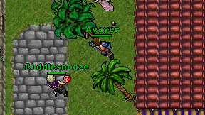 Avayer on screen