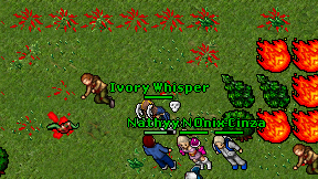 Ivory Whisper on screen
