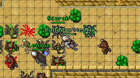 Palladyn'Neofix on screen