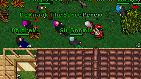 Sir Gnomin on screen
