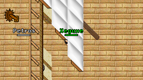 Xeguxe on screen