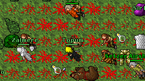 Topum on screen